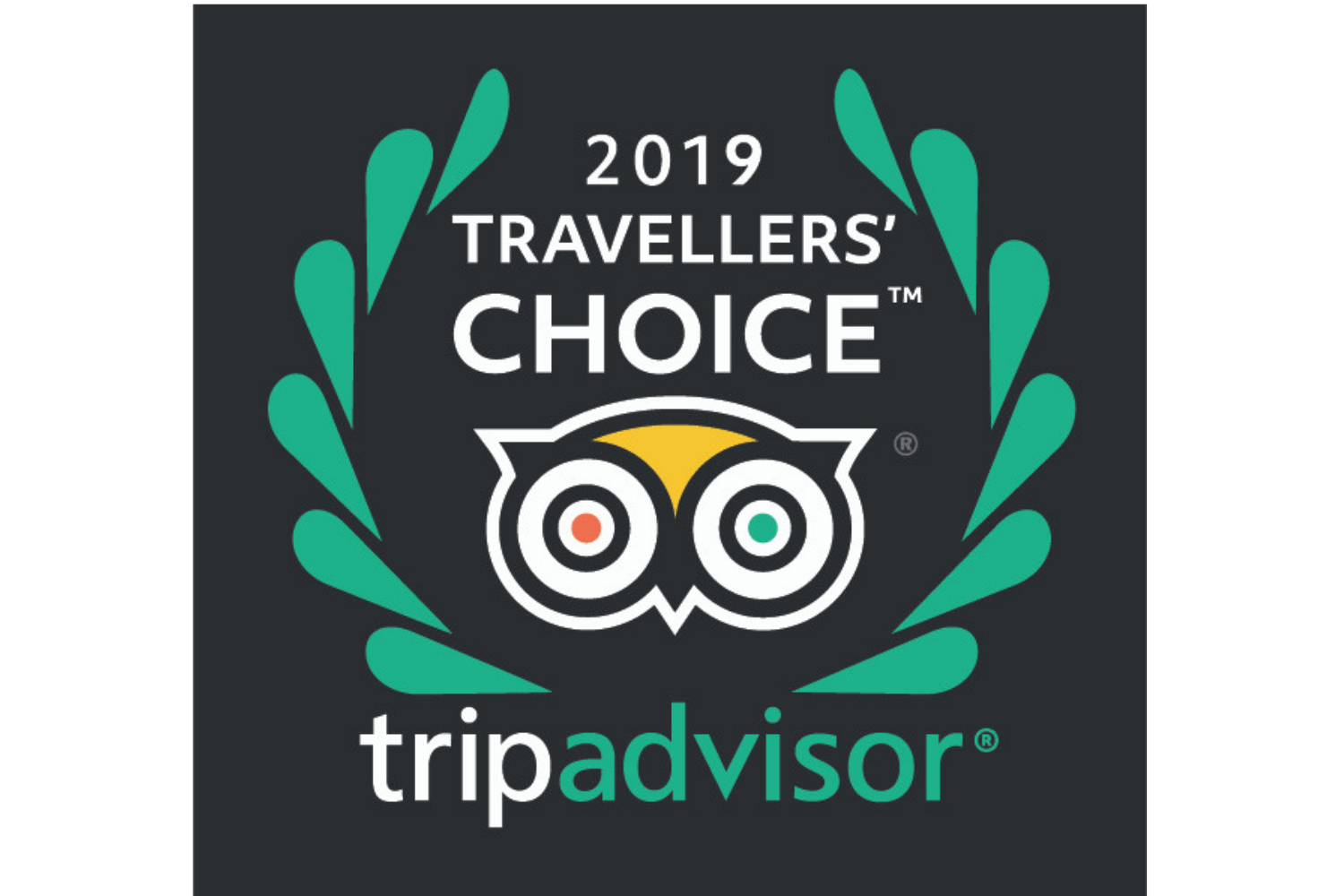 Travel choice. Travellers choice TRIPADVISOR 2020. TRIPADVISOR choice. Награда travellers' choice. TRIPADVISOR travellers choice 2021.