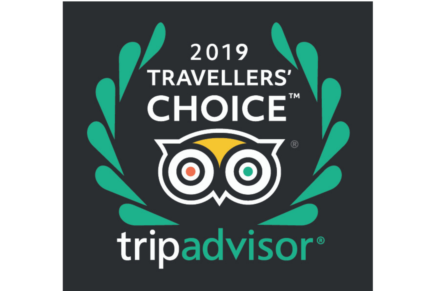 Traveler&#039;s choice. Travellers choice tripadvisor 2025. tripadvisor choice. награда travellers&#039; choice. tripadvisor travellers choice 2025.